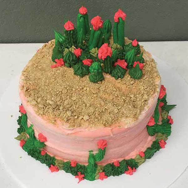 Cactus Cake