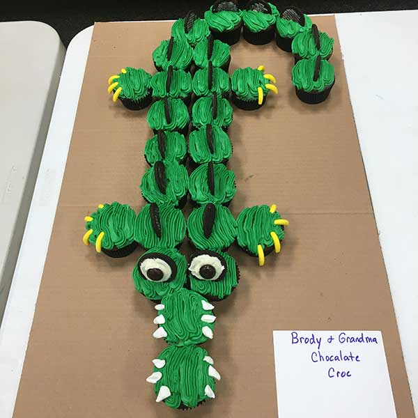 Chocolate Gator Cake